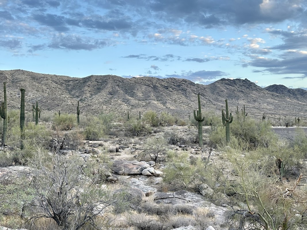 Spot Image