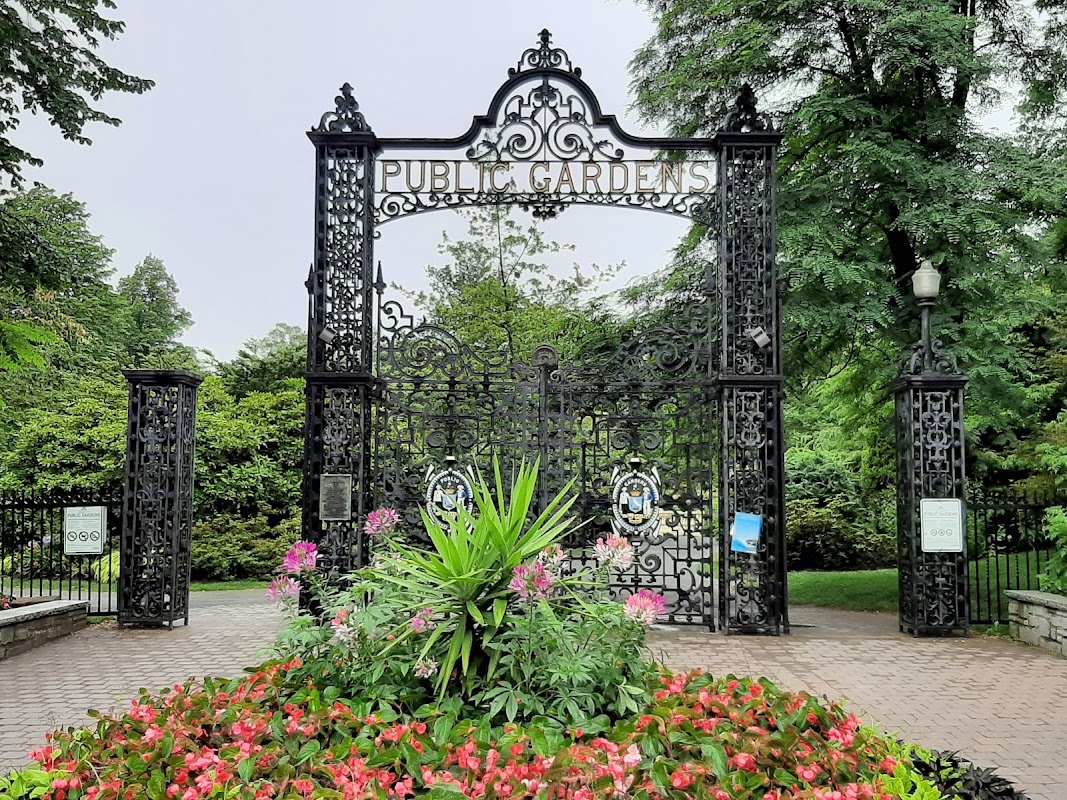 Spot Image