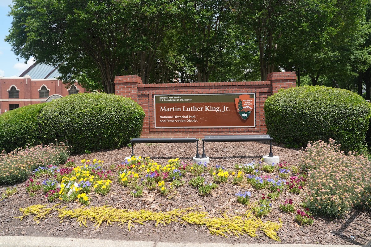 Spot Image