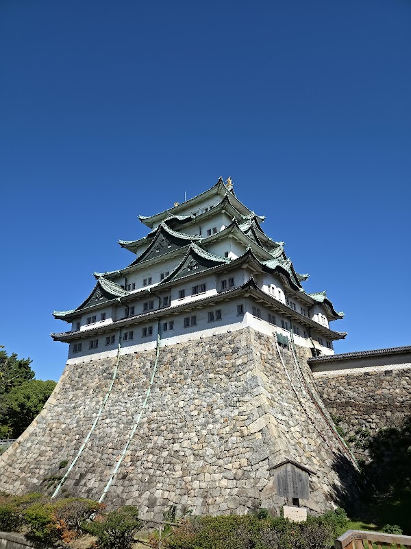 Spot Image