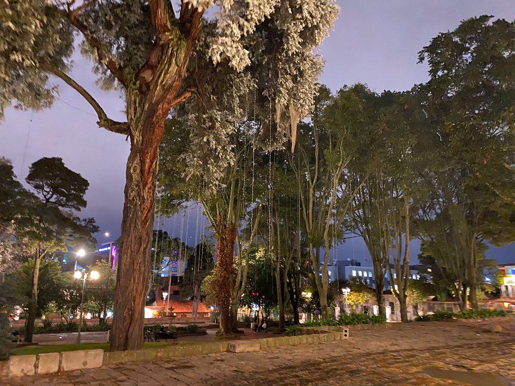 Spot Image