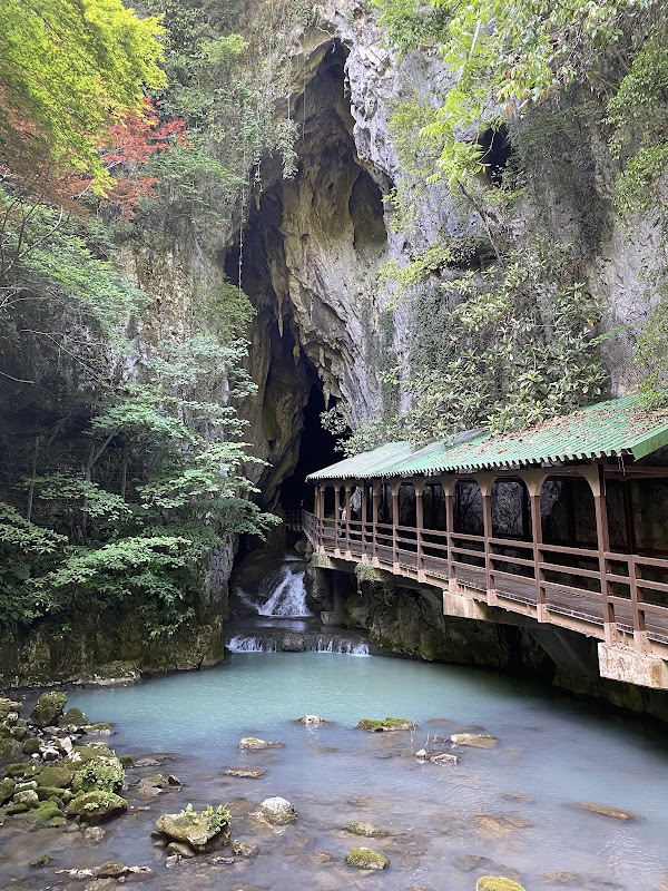 Spot Image