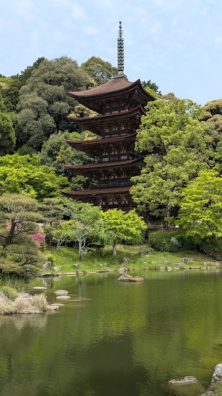 Spot Image