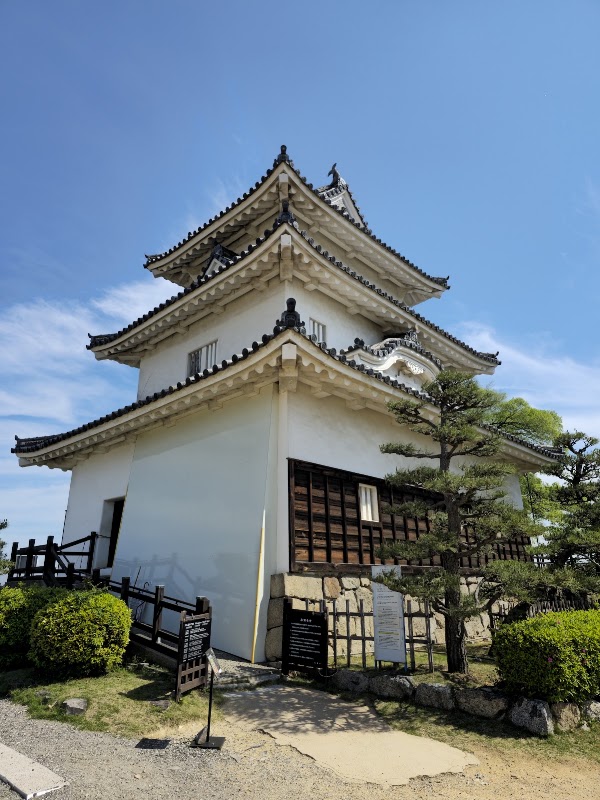 Spot Image