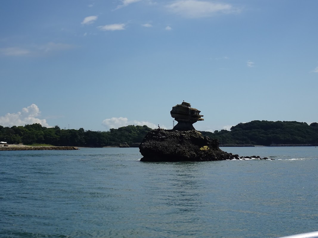 Spot Image