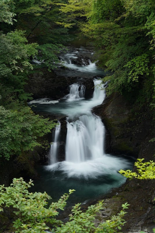 Spot Image