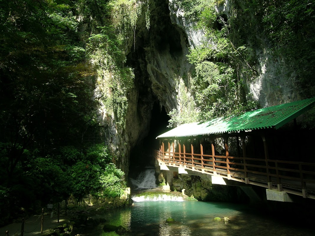Spot Image