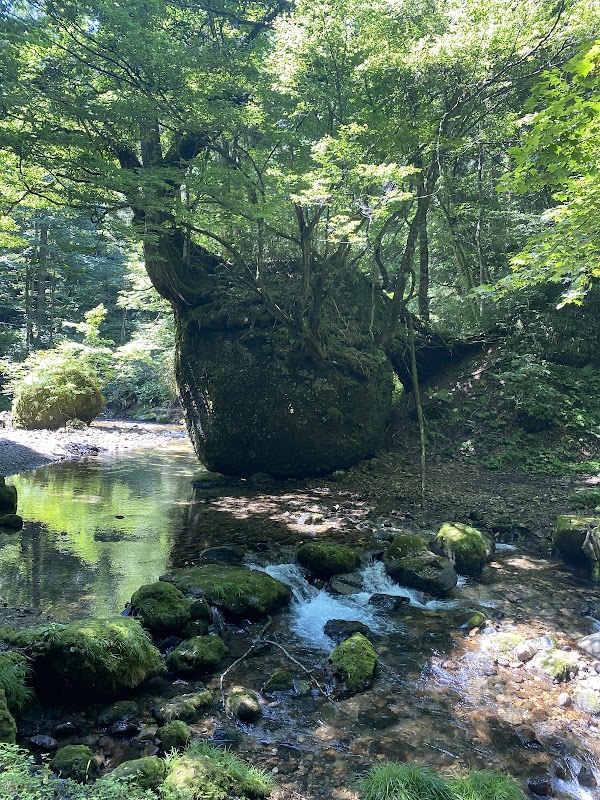 Spot Image