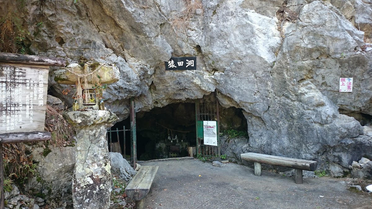 Spot Image