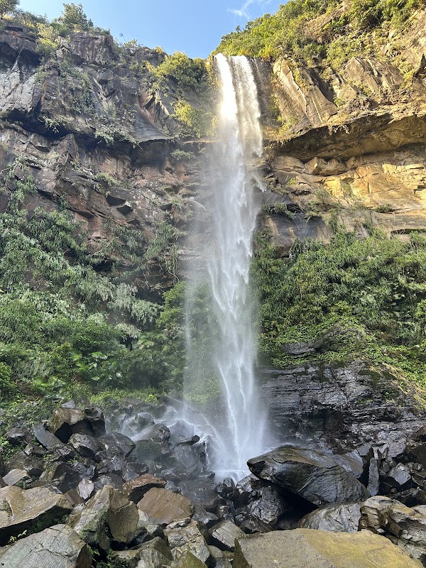 Spot Image
