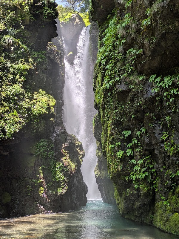 Spot Image