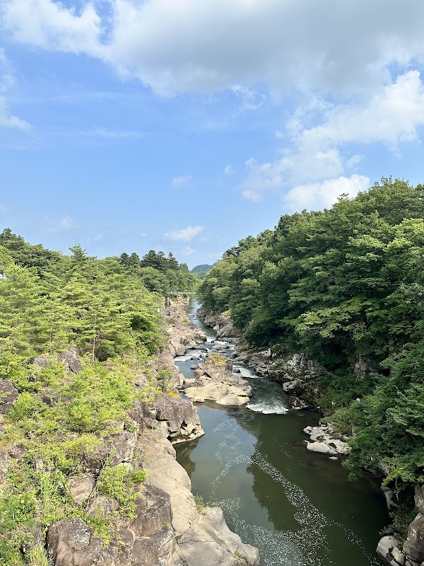Spot Image
