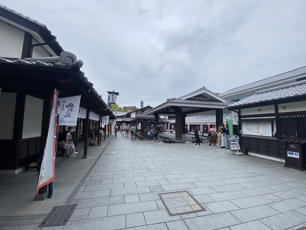 Spot Image