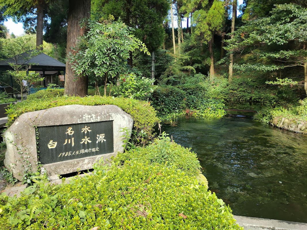Spot Image