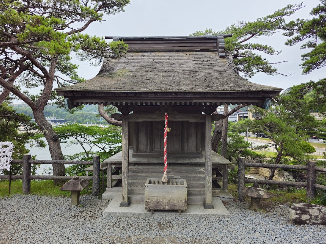 Spot Image