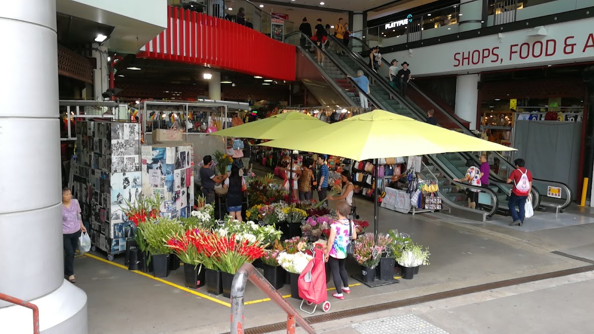 Spot Image