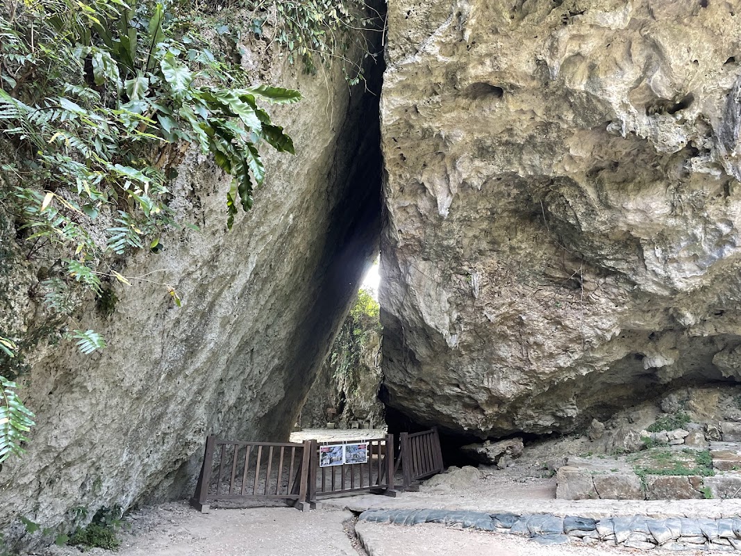Spot Image
