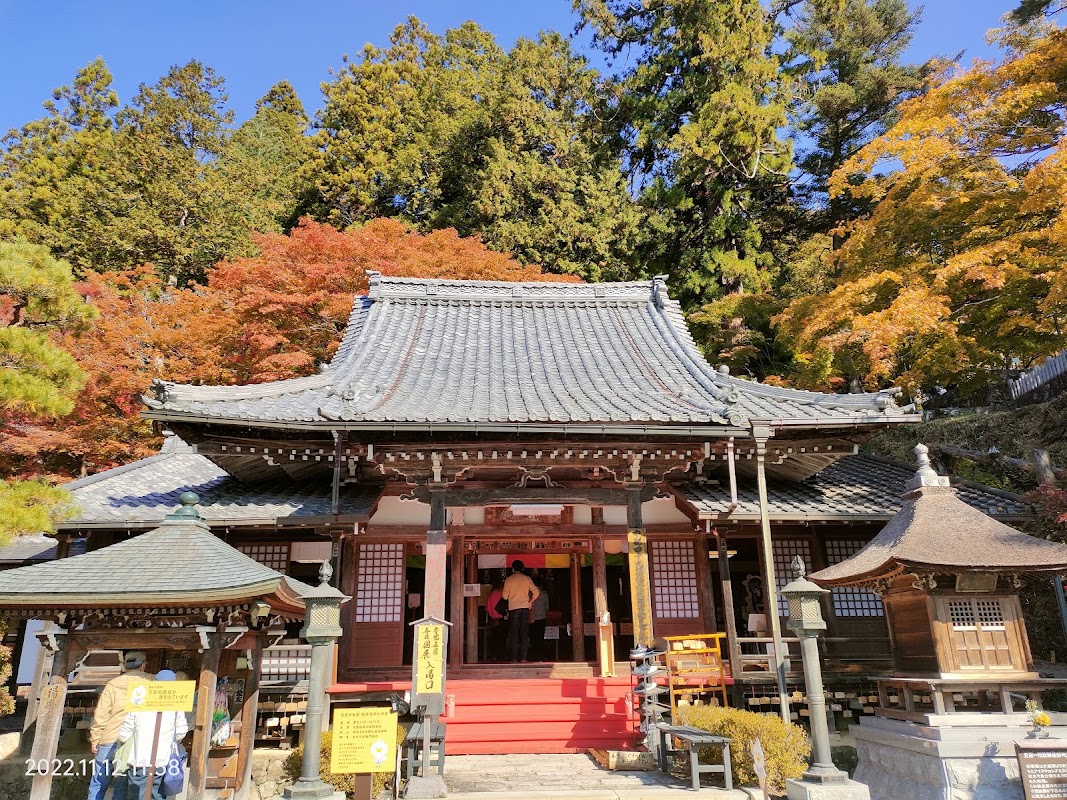 Spot Image