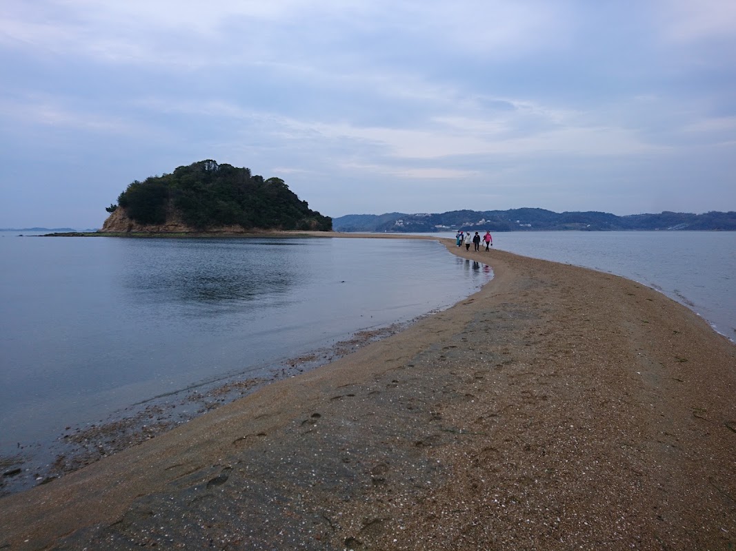 Spot Image