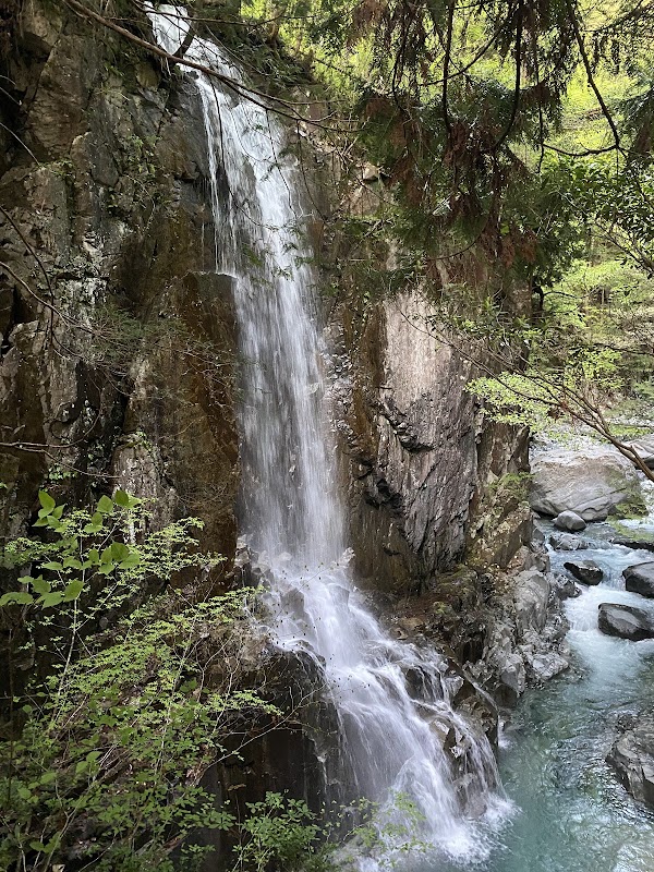 Spot Image