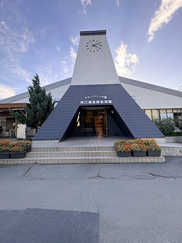 Spot Image