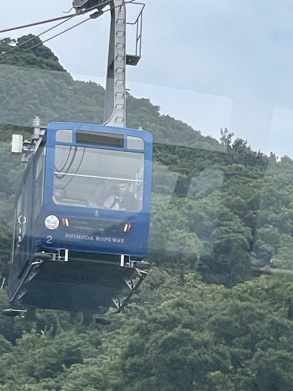 Spot Image